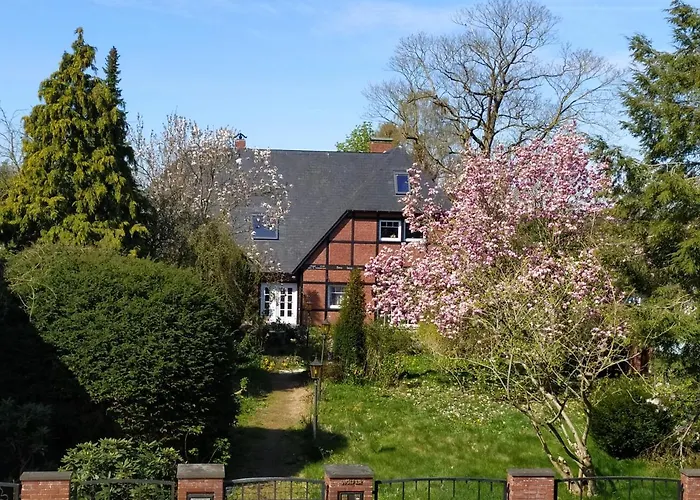 Storchennest Daire *